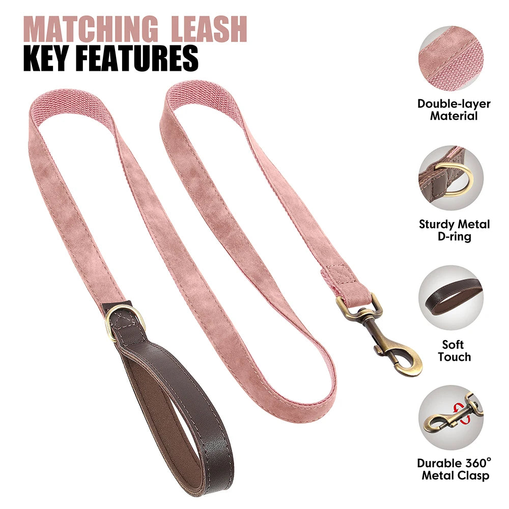 Personalized Dog Collar Leash PU Leather Dog Collars With Walking Lead Rope Free Custom Pet ID Necklace for Small Large Dogs Pug